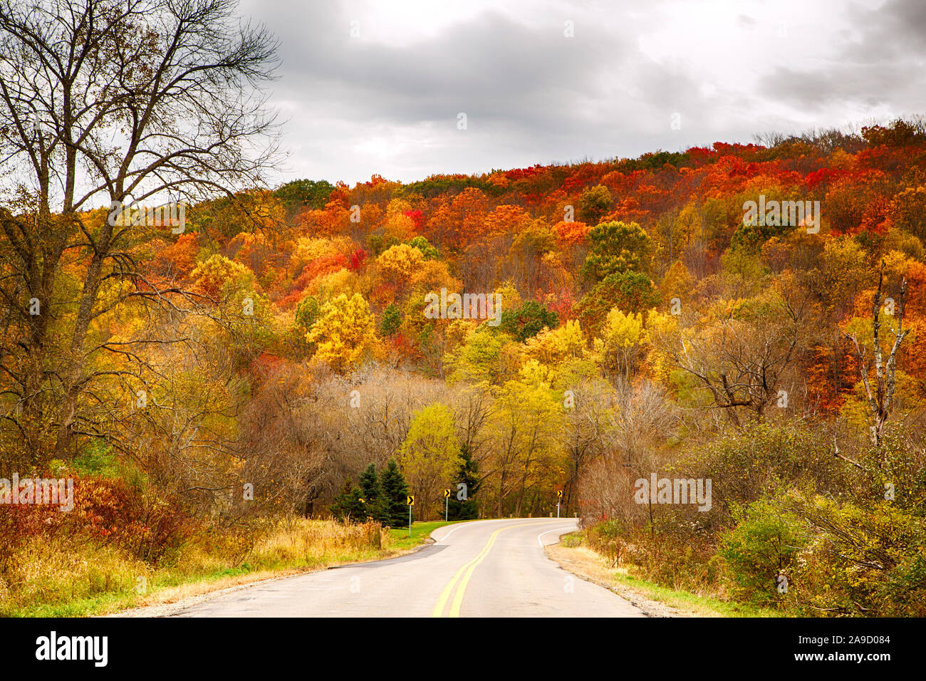 Strada in una bella colori d'autunno foresta, Pennsylvania, STATI UNITI D'AMERICA Foto Stock