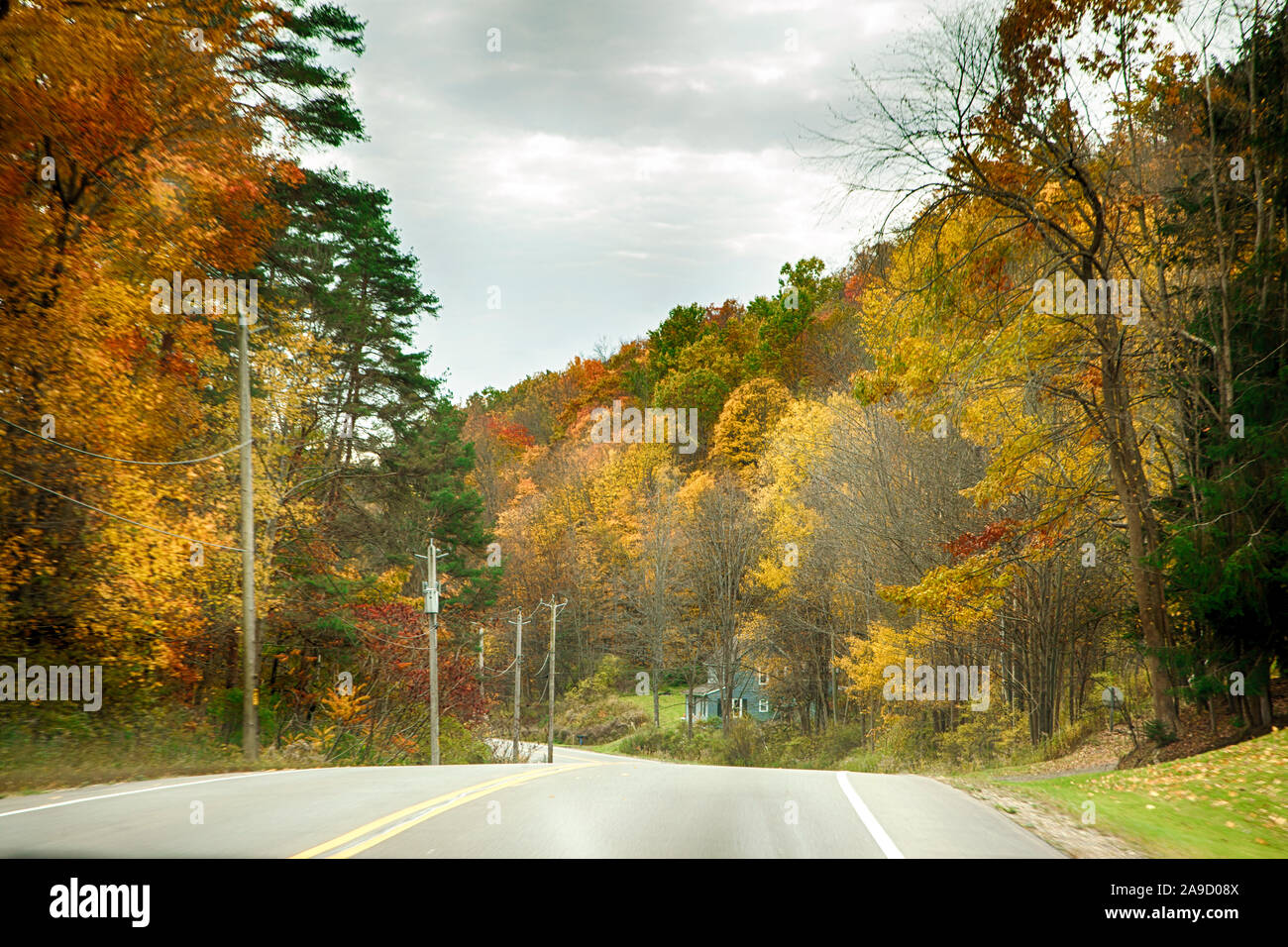 Strada in una bella colori d'autunno foresta, Pennsylvania, STATI UNITI D'AMERICA Foto Stock