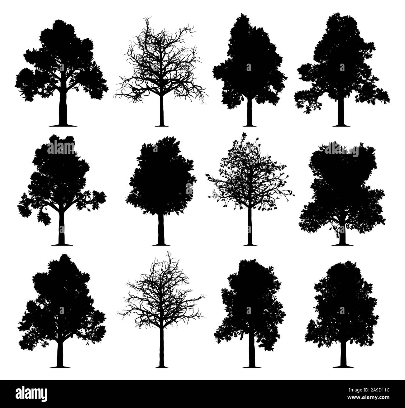 Alberi di quercia sagome isolati su sfondo bianco. Raccolta di 12 alberi di quercia. Foto Stock