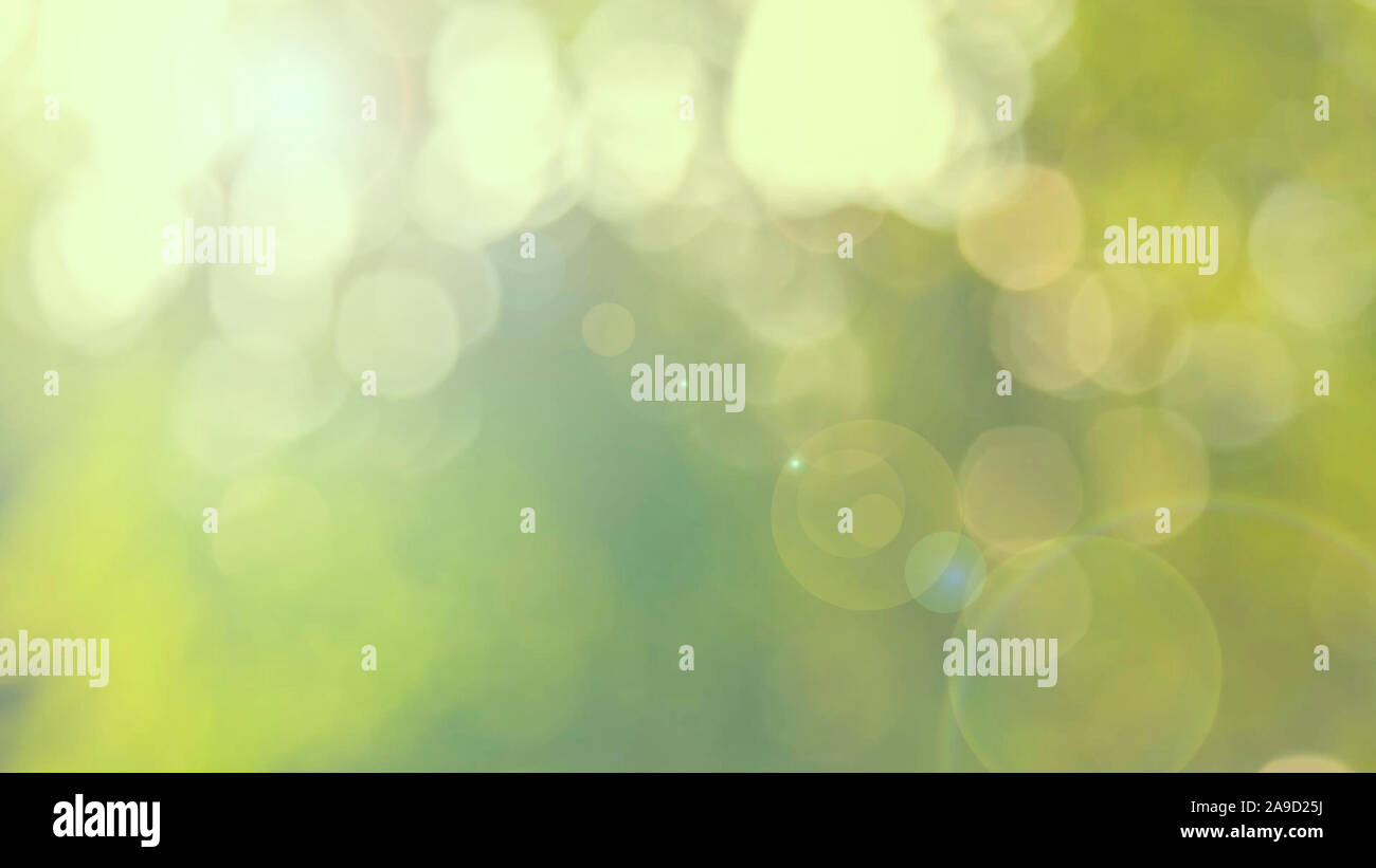 Verde natura bokeh di luce solare flare e foglia di sfocatura texture astratta, sfondo sfocato verde naturale lascia lo sfondo bianco Foto Stock