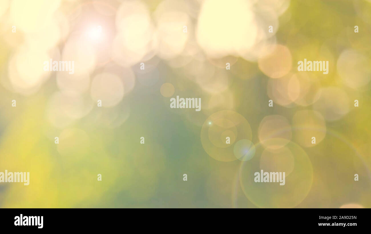 Defocalizzata natura astratta sfondo con foglie verdi e bokeh luci, offuscata naturale sfondo bokeh di fondo da foglia e alberi Foto Stock