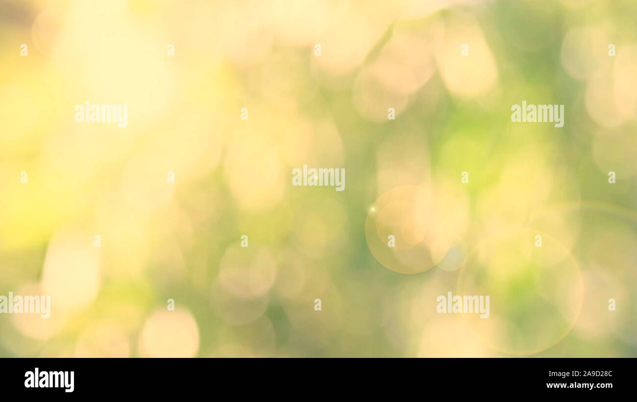 Verde natura bokeh di luce solare flare e foglia di sfocatura texture astratta, sfondo sfocato verde naturale lascia lo sfondo bianco Foto Stock