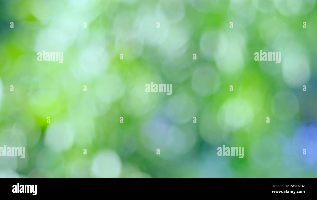 Defocalizzata natura astratta sfondo con foglie verdi e bokeh luci, offuscata naturale sfondo bokeh di fondo da foglia e alberi Foto Stock