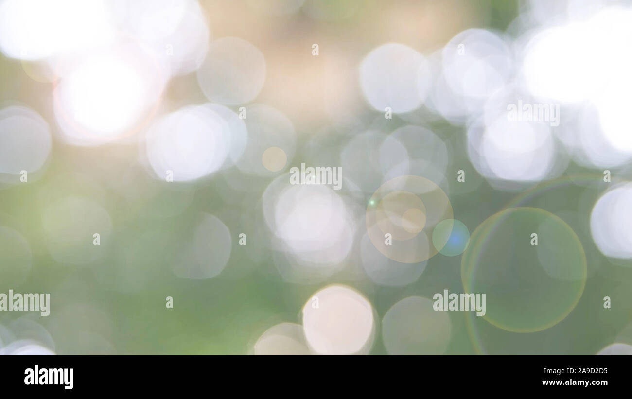 Defocalizzata natura astratta sfondo con foglie verdi e bokeh luci, offuscata naturale sfondo bokeh di fondo da foglia e alberi Foto Stock