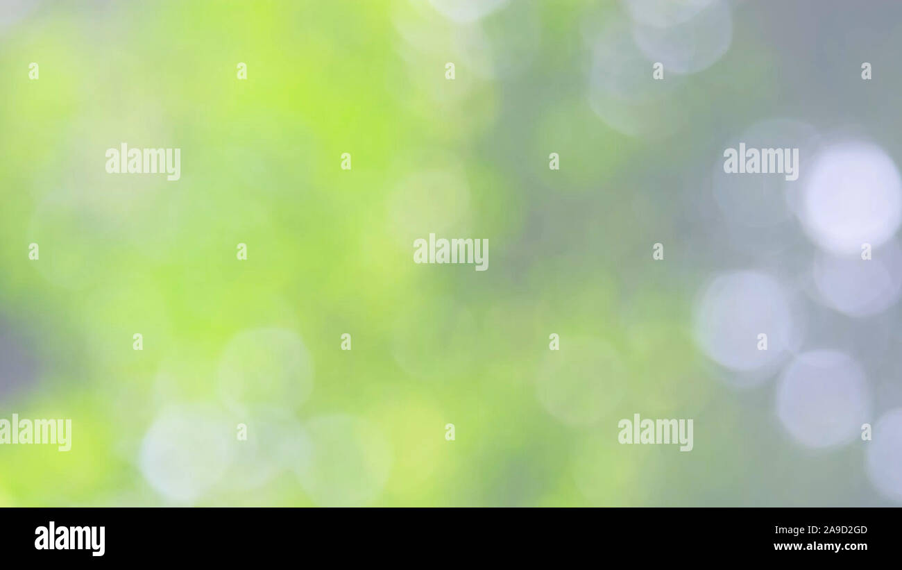 Defocalizzata natura astratta sfondo con foglie verdi e bokeh luci, offuscata naturale sfondo bokeh di fondo da foglia e alberi Foto Stock