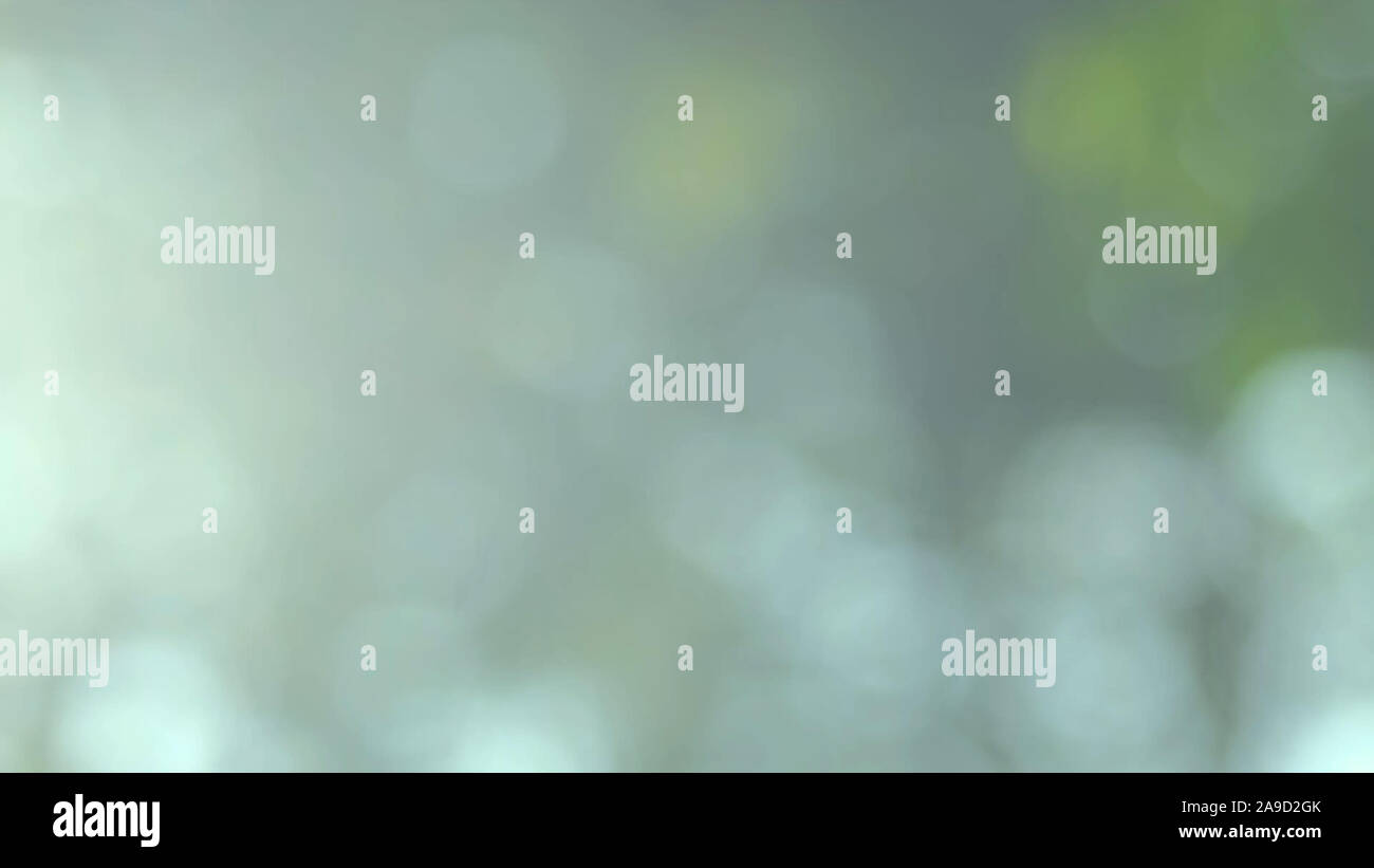 Defocalizzata natura astratta sfondo con foglie verdi e bokeh luci, offuscata naturale sfondo bokeh di fondo da foglia e alberi Foto Stock