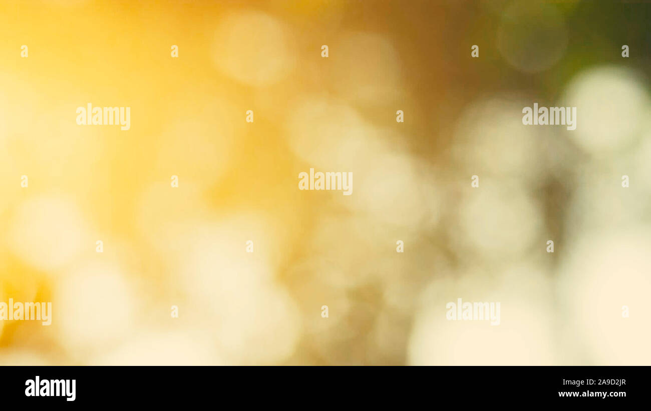 Verde natura bokeh di luce solare flare e foglia di sfocatura texture astratta, sfondo sfocato verde naturale lascia lo sfondo bianco Foto Stock