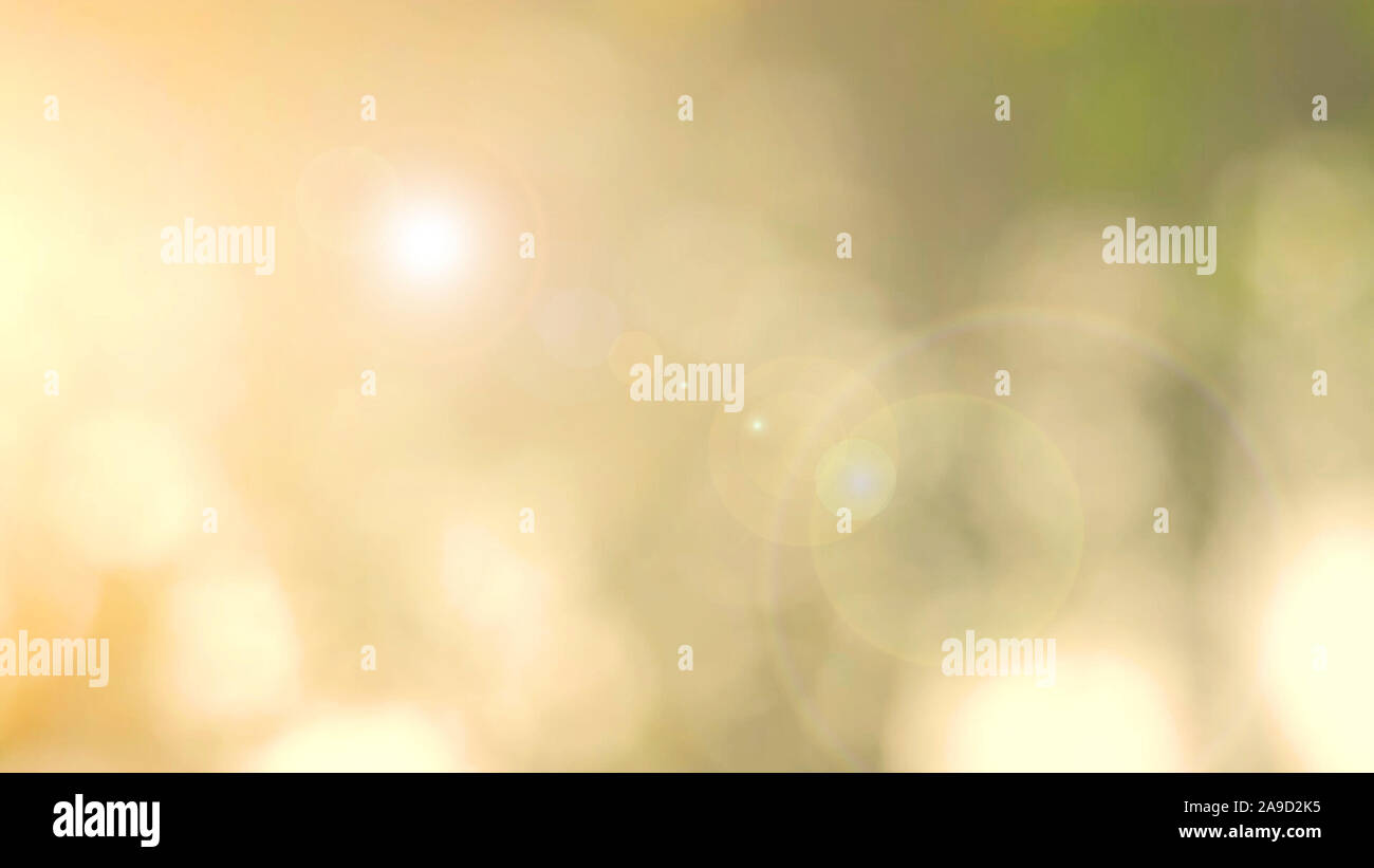 Defocalizzata natura astratta sfondo con foglie verdi e bokeh luci, offuscata naturale sfondo bokeh di fondo da foglia e alberi Foto Stock