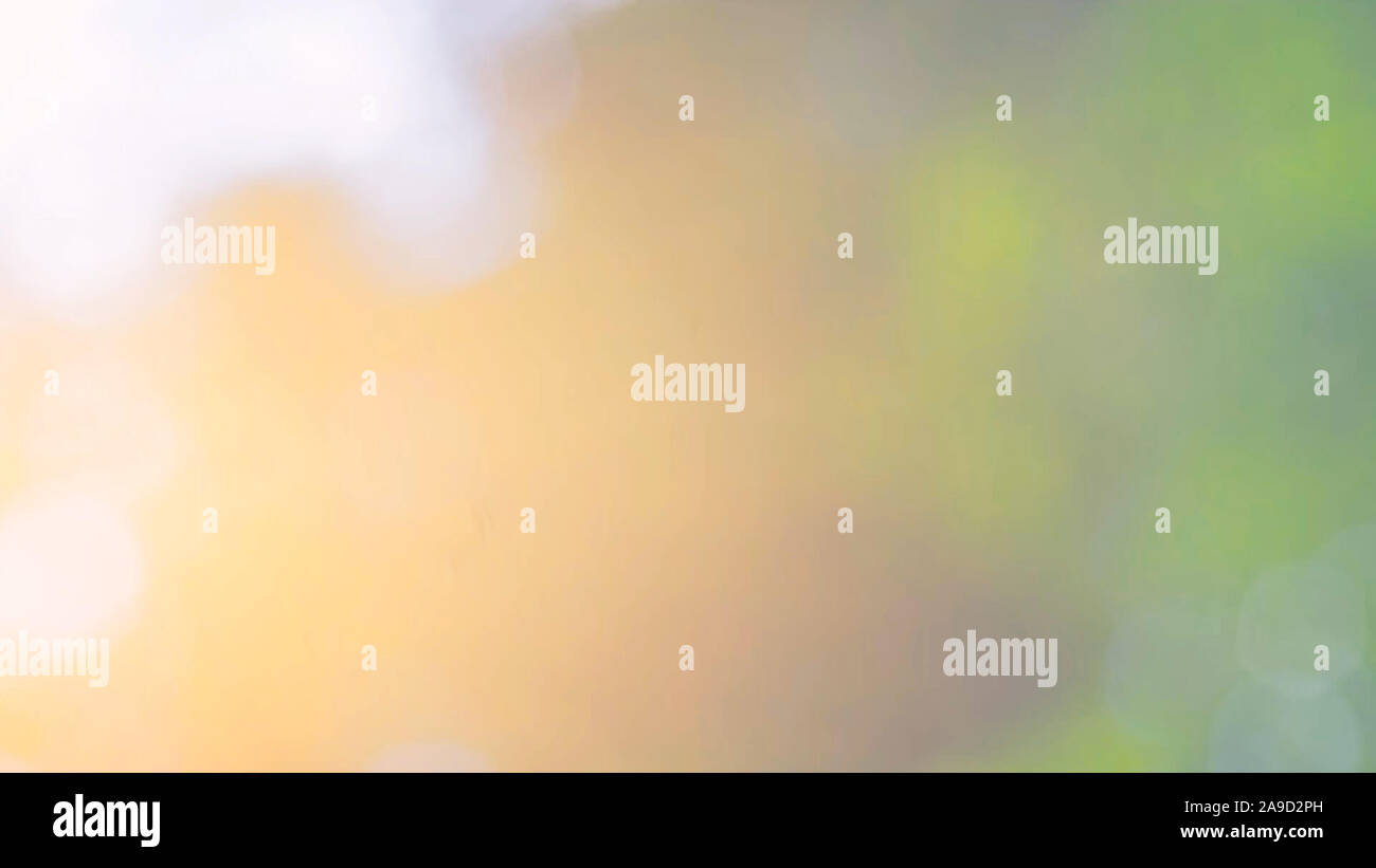Defocalizzata natura astratta sfondo con foglie verdi e bokeh luci, offuscata naturale sfondo bokeh di fondo da foglia e alberi Foto Stock
