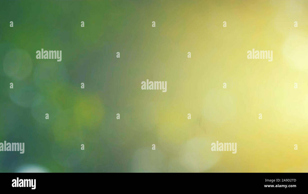 Defocalizzata natura astratta sfondo con foglie verdi e bokeh luci, offuscata naturale sfondo bokeh di fondo da foglia e alberi Foto Stock