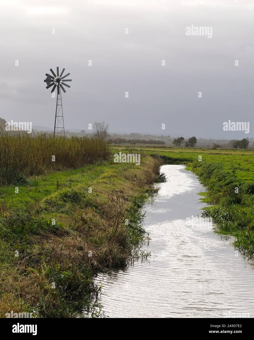 Novembre 2019 - Willow e wetlands centre, Stoke St Gregory, Somerset, Regno Unito Foto Stock