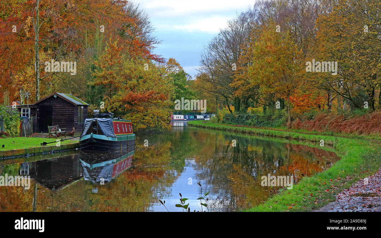 Bridgewater Canal, dal Ponte Pickerings, Thelwall, autunno, Sud Warrington, Cheshire, North West England, Regno Unito, WA4 3JR Foto Stock