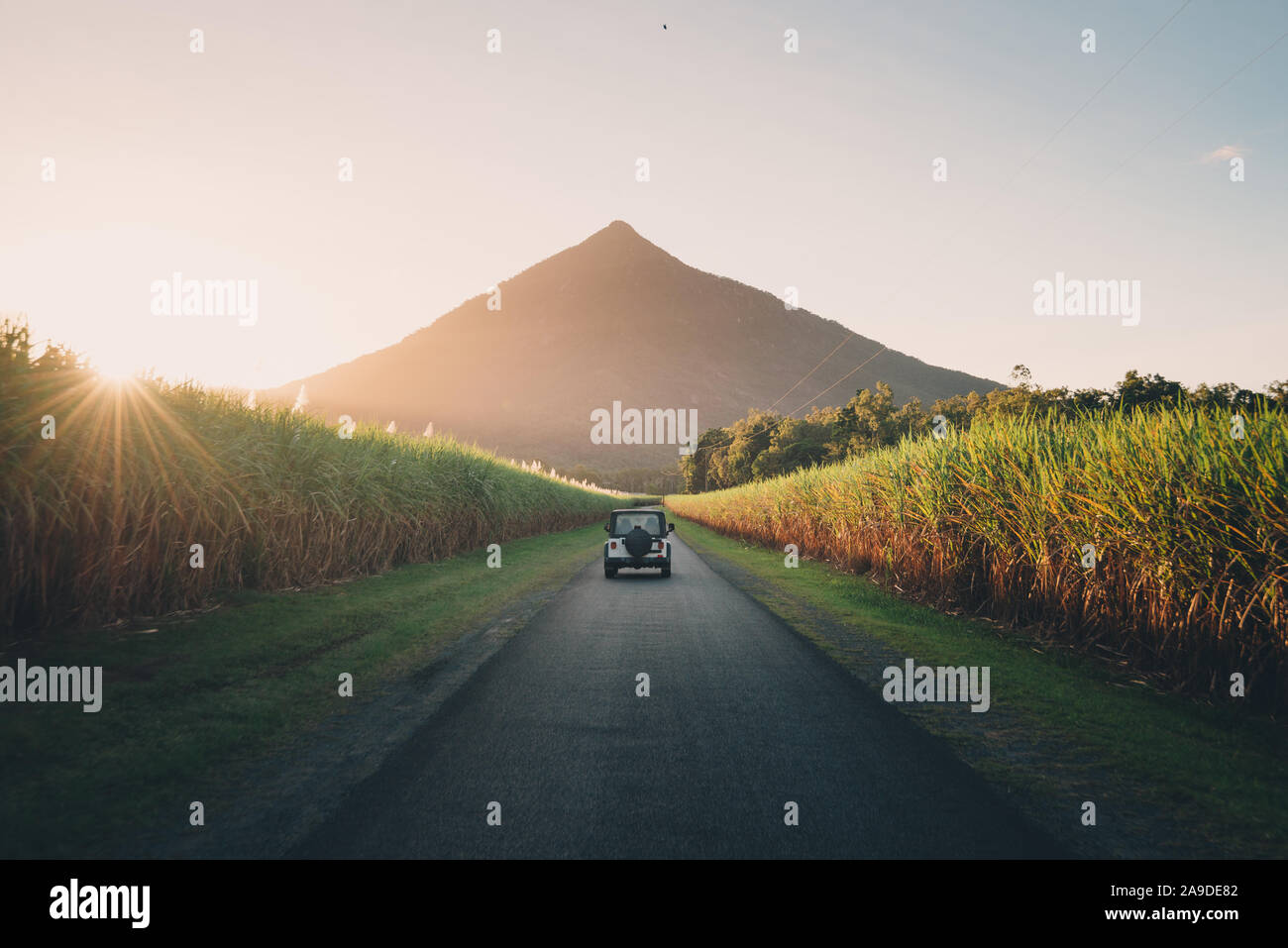 La piramide in Gordonvale vicino a Cairns, Australia Foto Stock