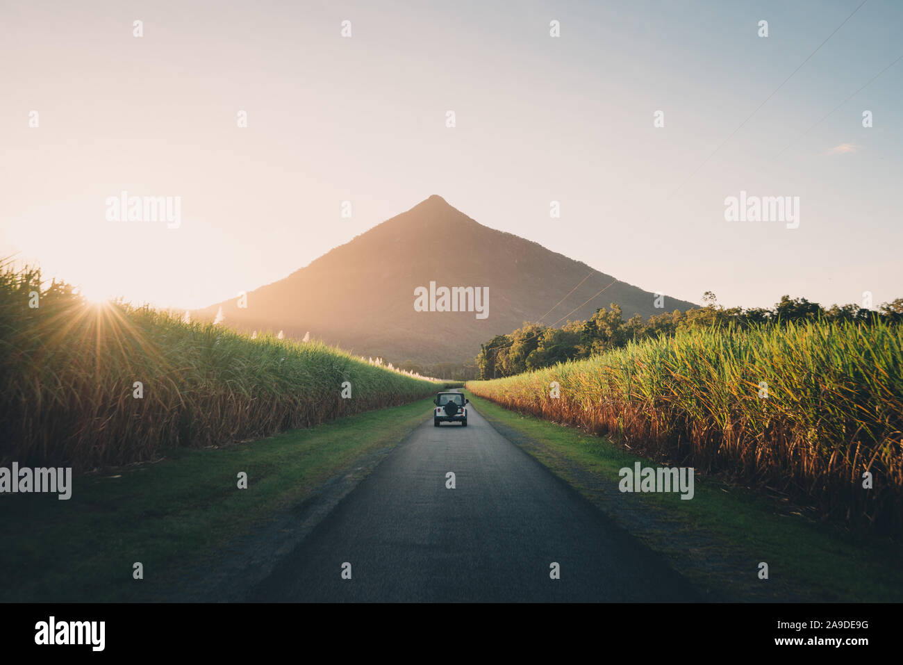 La piramide in Gordonvale vicino a Cairns, Australia Foto Stock