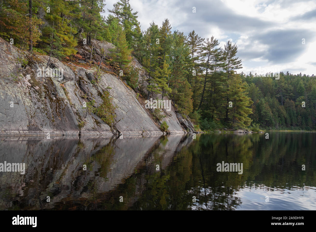 Bella roccia e foresta ona nord del lago Ontario Foto Stock
