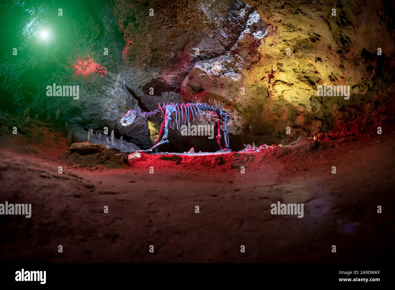 Stalattiti e stalagmiti in Devil's Cave in Svizzera della Franconia Foto Stock