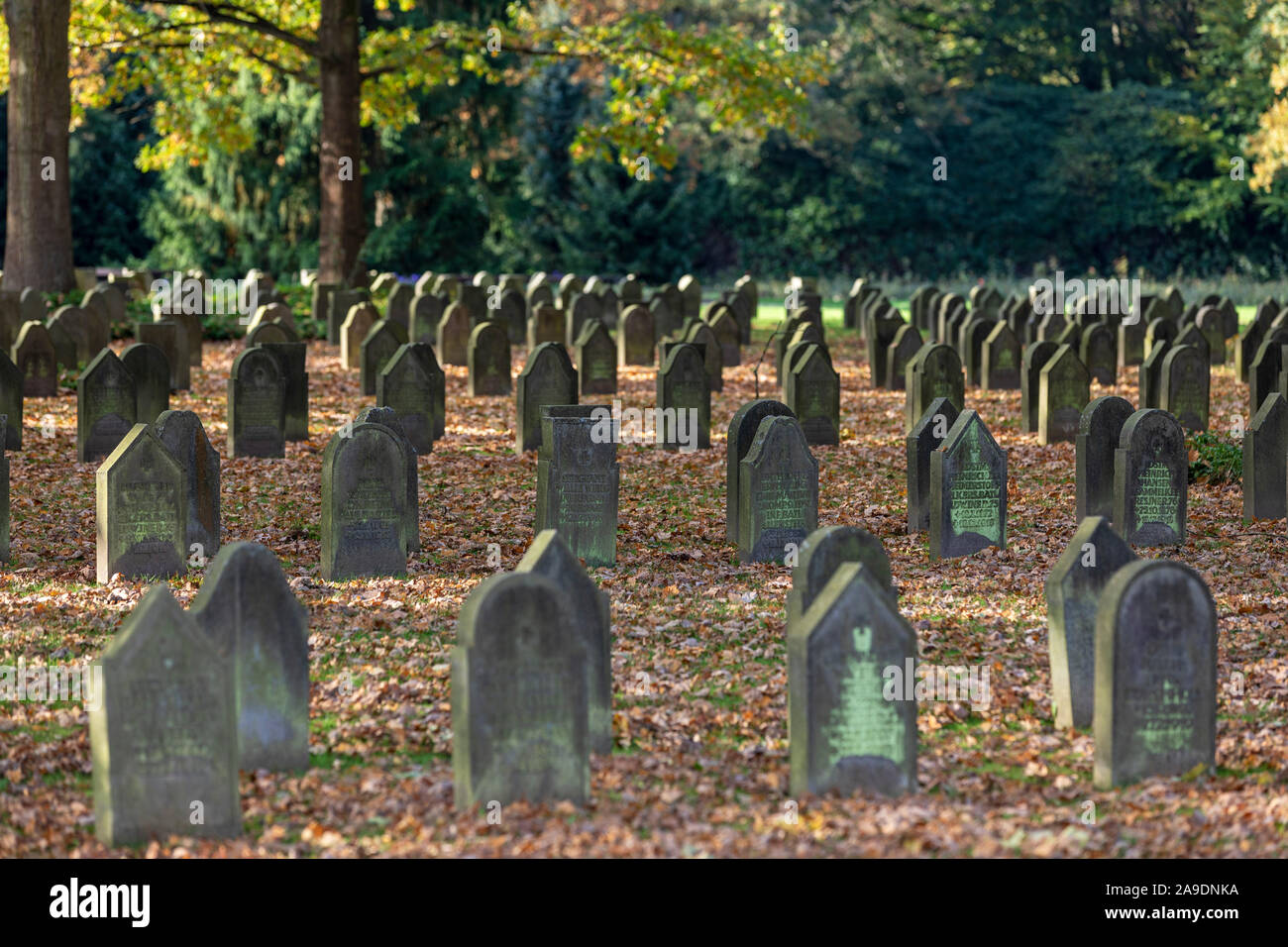 Soldato' graves Prima Guerra Mondiale, autunnale, cimitero Ohlsdorf di Amburgo, Foto Stock