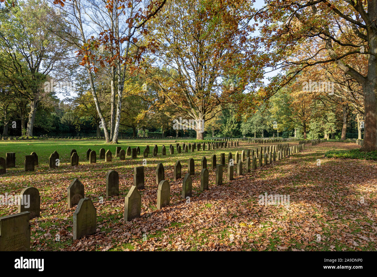 Soldato' graves Prima Guerra Mondiale, autunnale, cimitero Ohlsdorf di Amburgo, Foto Stock