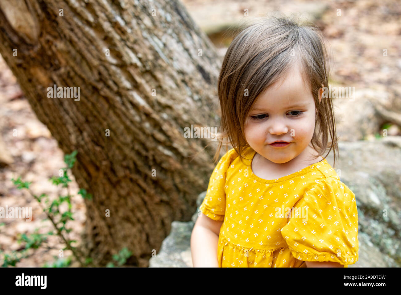 Toddler seduto su albero che è felice con che cosa ha scoperto Foto Stock