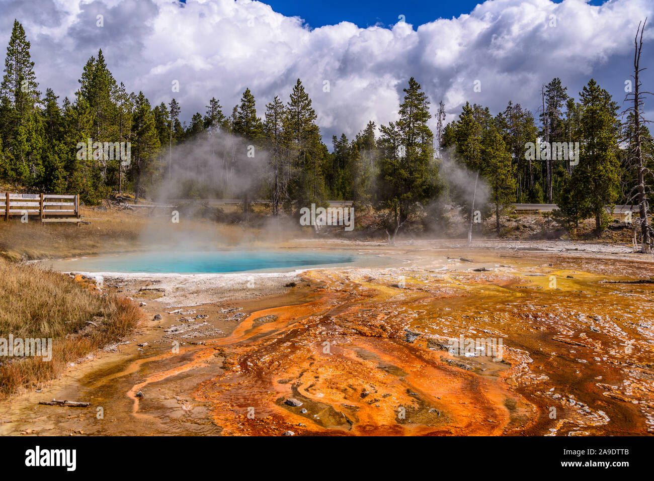 Stati Uniti d'America, Wyoming, il Parco Nazionale di Yellowstone, inferiore Geyser Basin, Fontana vaso di vernice Trail, batteri Mat, Silex molla Foto Stock