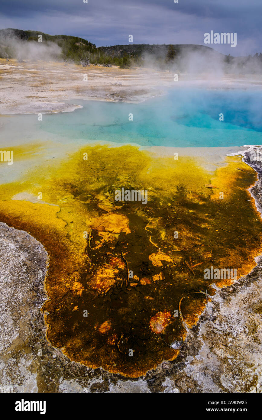 Stati Uniti d'America, Wyoming, il Parco Nazionale di Yellowstone, vecchie fedeli, Upper Geyser Basin, Bacino di biscotto, Sapphire Pool Foto Stock