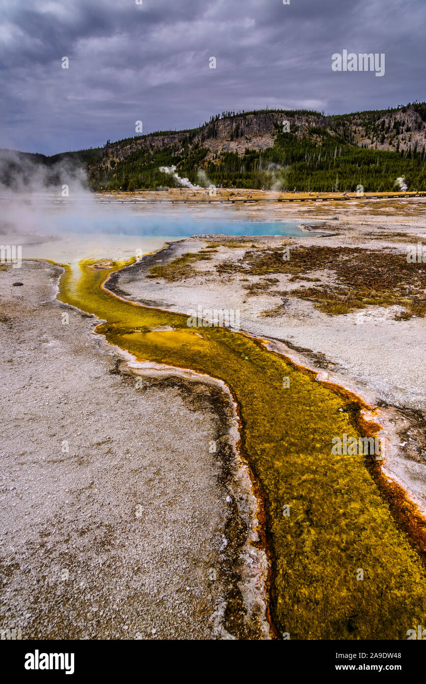 Stati Uniti d'America, Wyoming, il Parco Nazionale di Yellowstone, vecchie fedeli, Upper Geyser Basin, Bacino di biscotto, Sapphire Pool Foto Stock