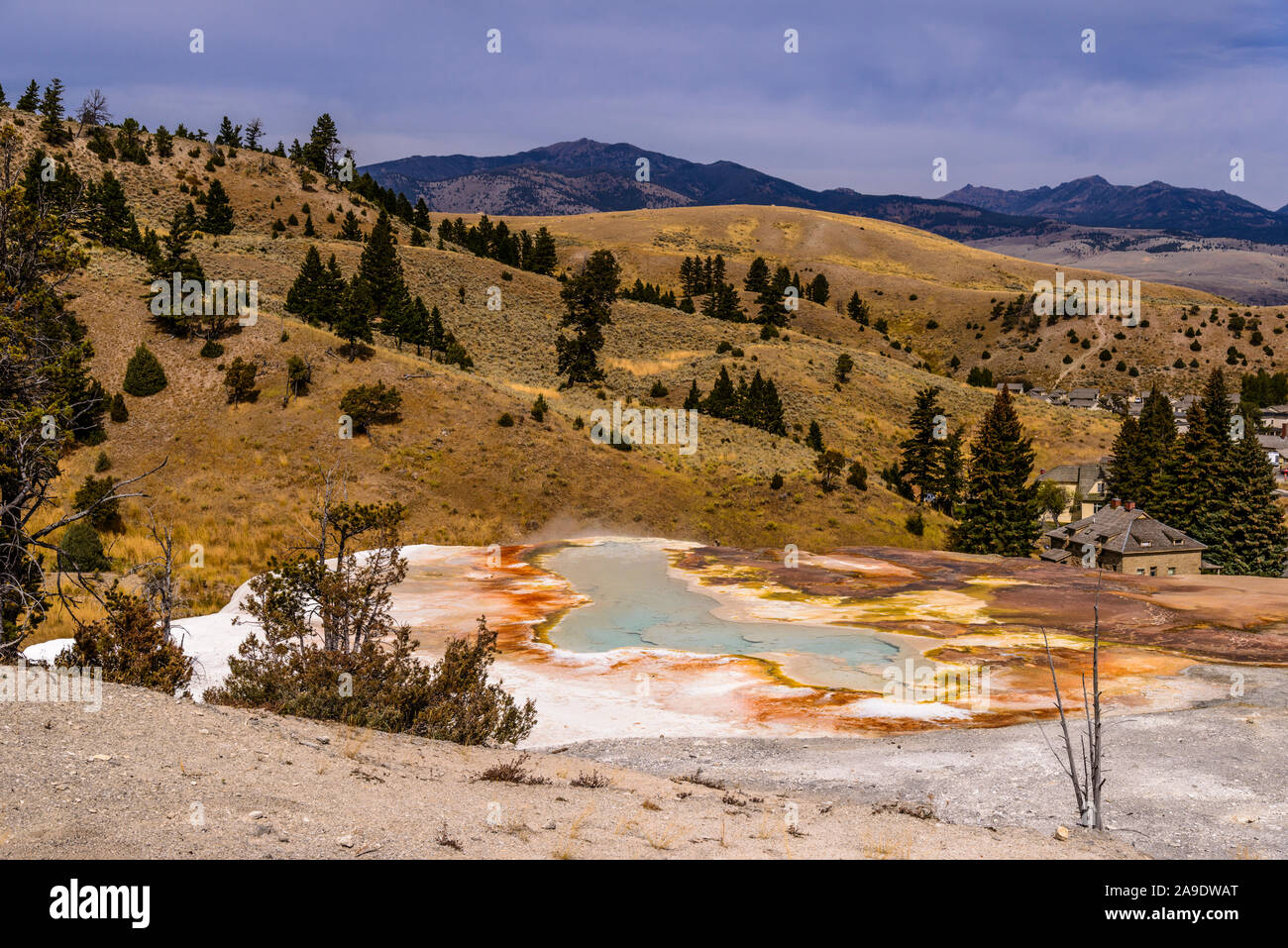 Stati Uniti d'America, Wyoming, il Parco Nazionale di Yellowstone, Mammoth Hot Springs, Terrazze inferiore, la molla della tavolozza Foto Stock