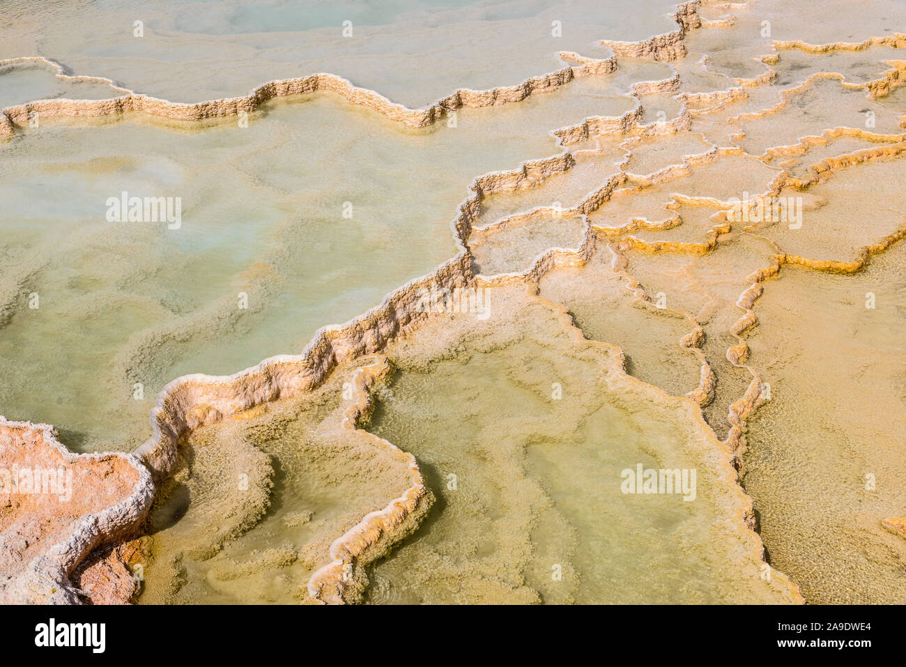 Stati Uniti d'America, Wyoming, il Parco Nazionale di Yellowstone, Mammoth Hot Springs, terrazza principale, Giove Terrazza Foto Stock