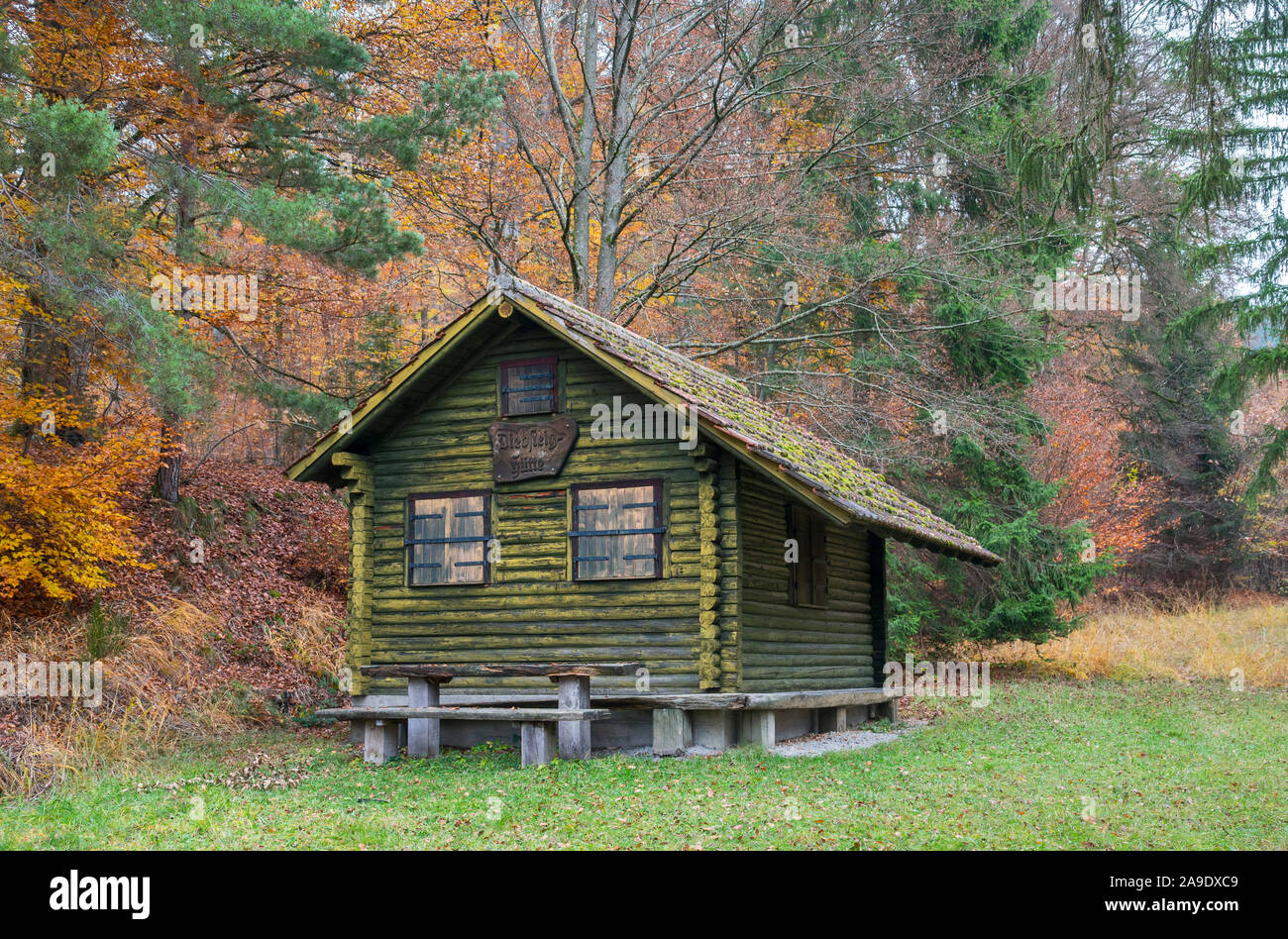 Germania, Baden-Württemberg, Tübingen, Schönbuch, Bromberg, Schonwald Diebsteig, Diebsteig hut Foto Stock