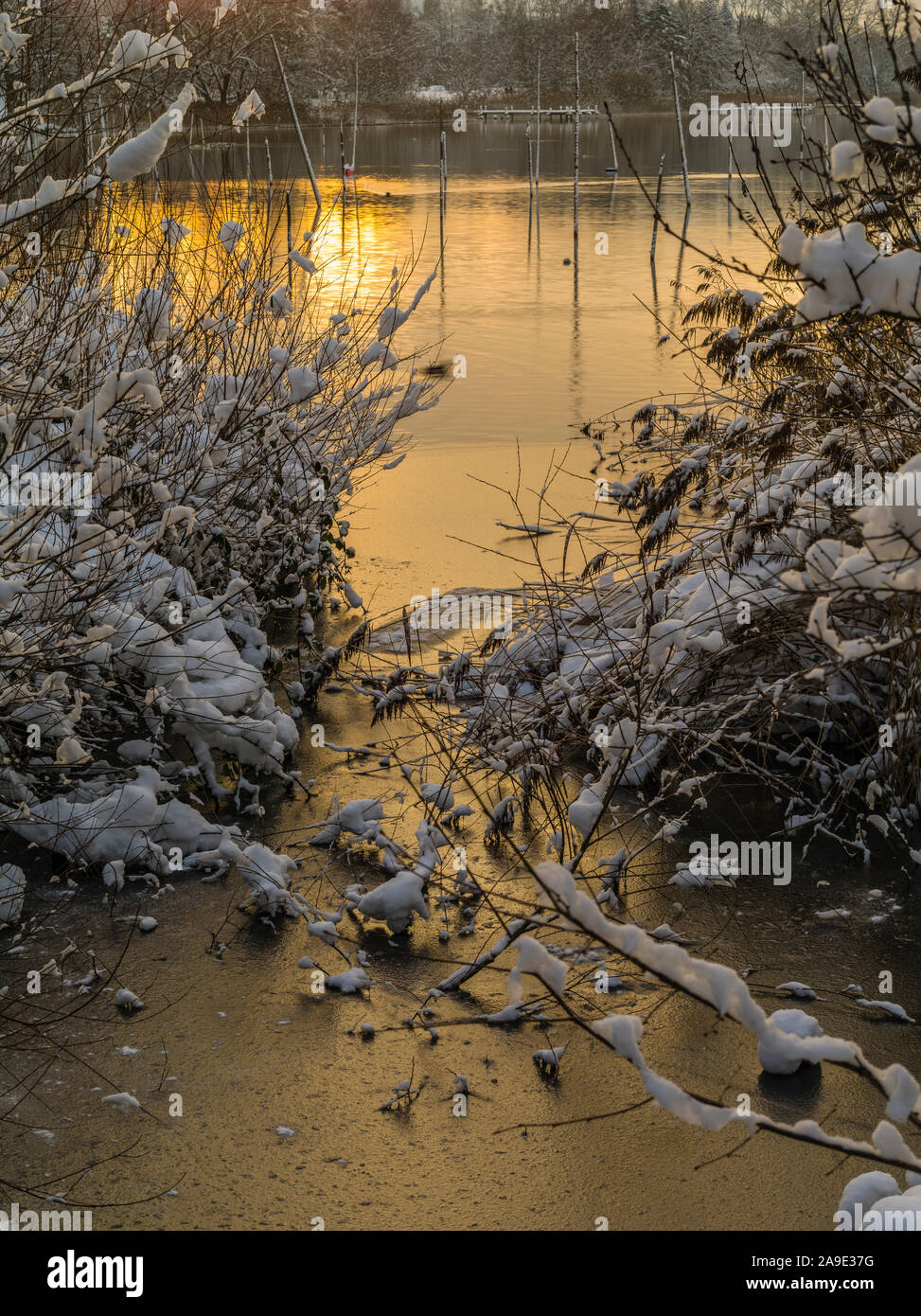 Sunrise nel Pfäffikersee con mirrorings in ghiaccio Foto Stock