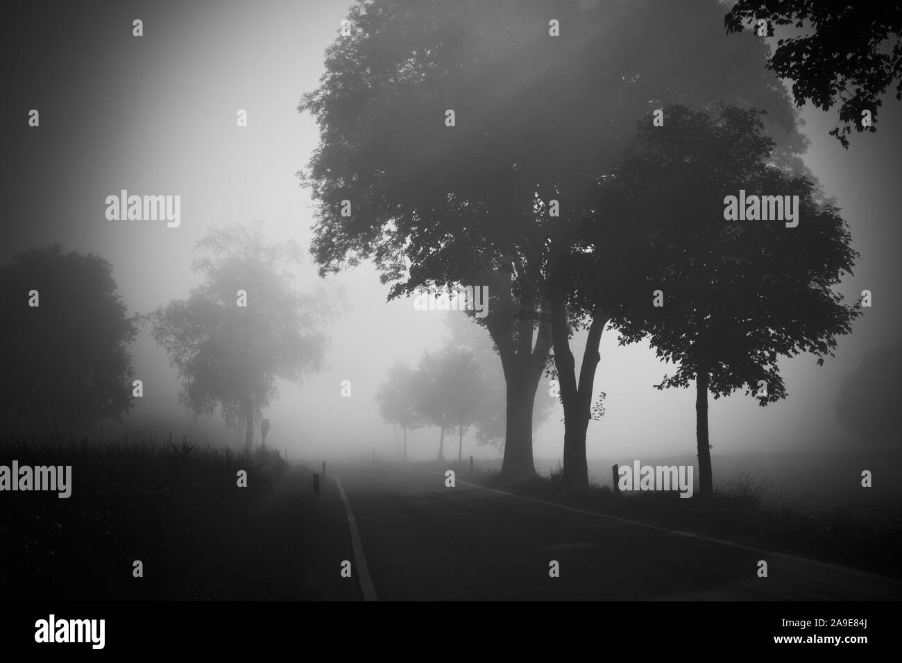 Una immagine di un bellissimo paesaggio con nebbia in Baviera Germania Foto Stock