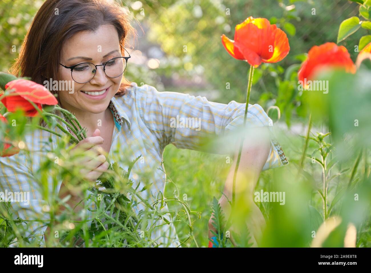 Donna di mezza età in natura fiori da taglio papaveri rossi Foto Stock