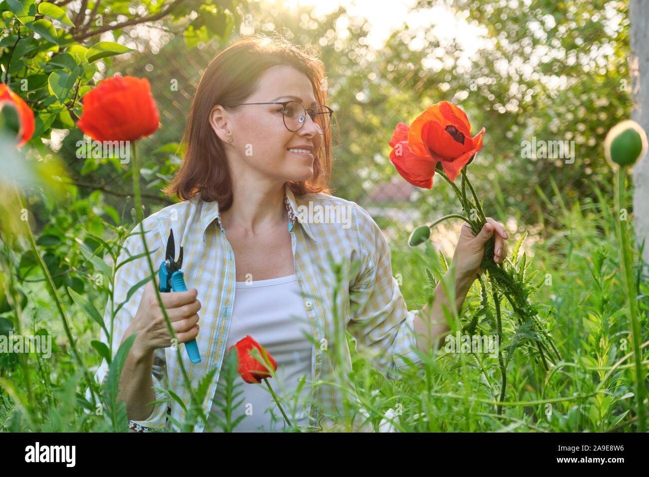 Donna di mezza età in natura fiori da taglio papaveri rossi Foto Stock