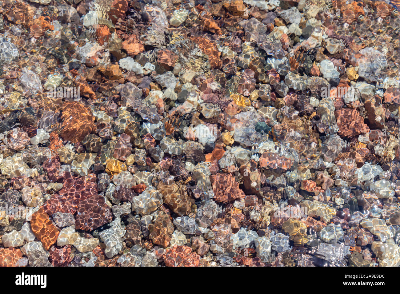 I riflessi del sole sull'acqua trasparente attraverso il quale multi-colored stones sono visibili. Eilat golfo del Mar Rosso. Israele Foto Stock