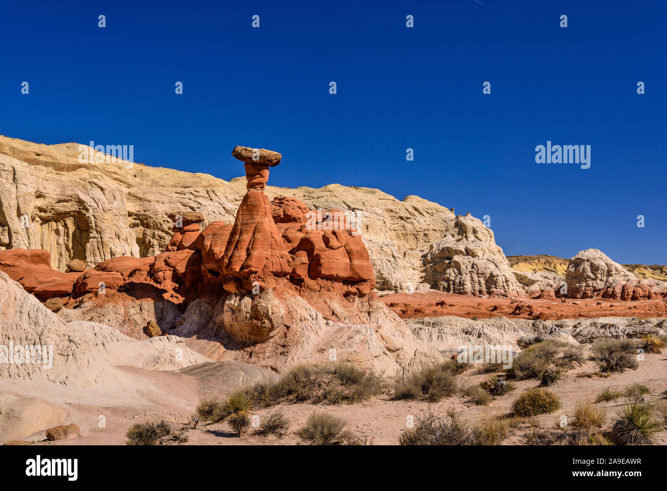 Gli Stati Uniti, Utah, Kane County, Kanab, paria Rimrocks, Toadstools, ridge Toadstool, Lucky Luke Foto Stock