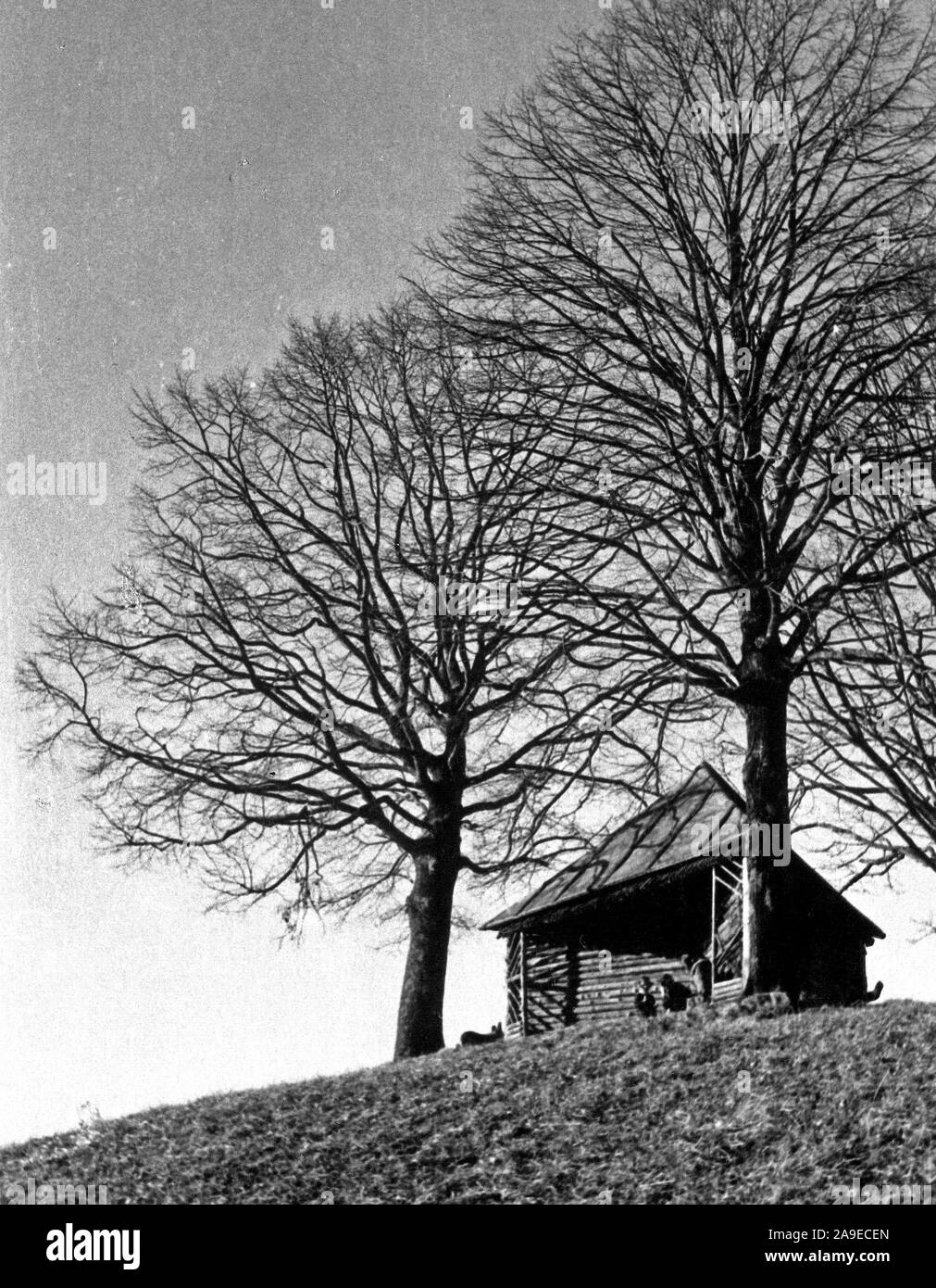 Eva Braun Collection (Album 2) - Capodanno 1936 Location: Schloss Aspenstein, Germania - casa in campagna Foto Stock