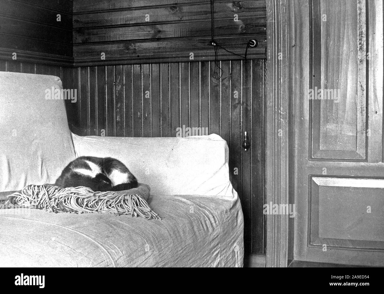 Interno della casa con il gatto sul divano e il campanello di allarme sulla parete ca. 1920 Foto Stock