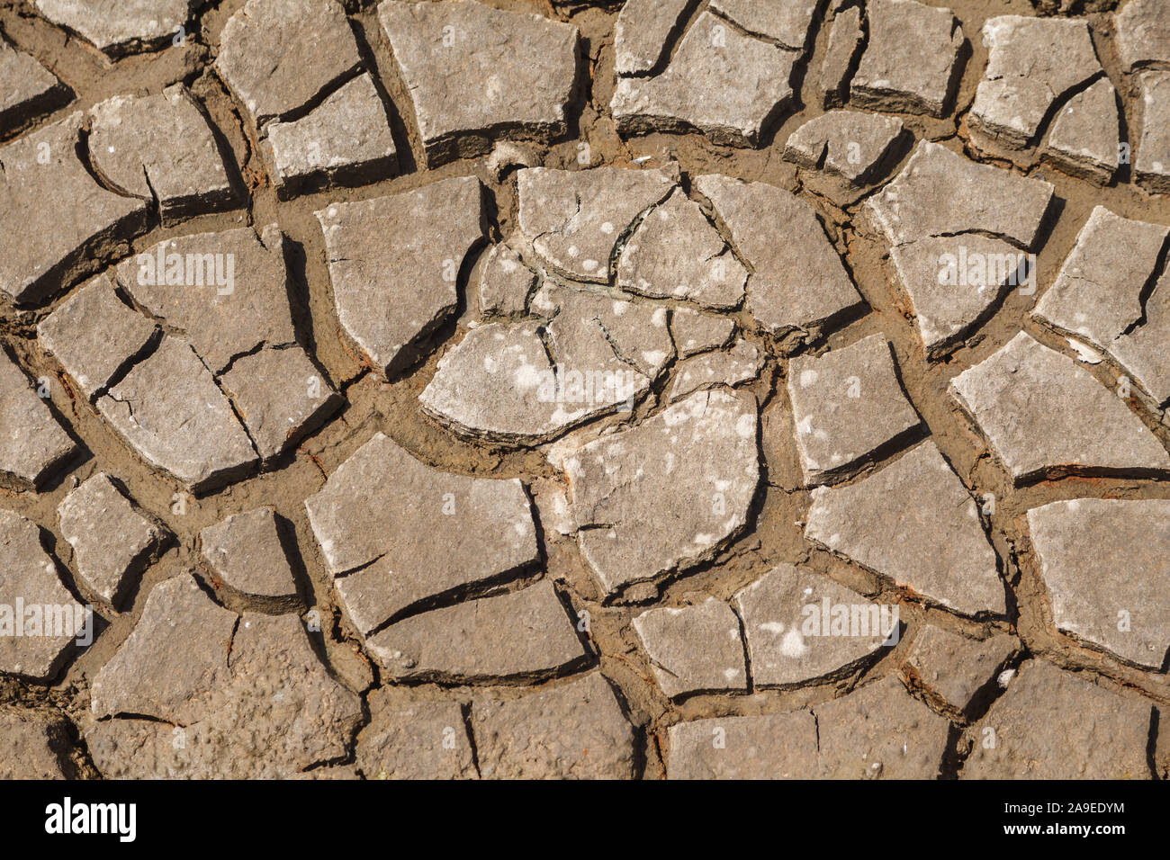 Medie di close-up, essiccato incrinato terra, vista dall'alto, Foto Stock