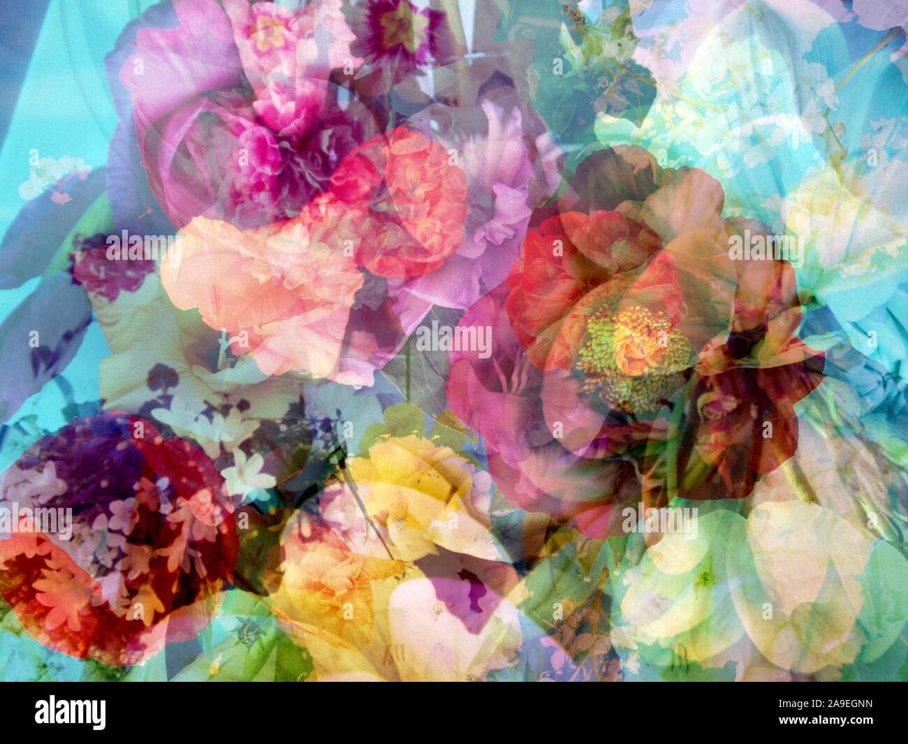 La composizione di fiori diversi, close-up Foto Stock