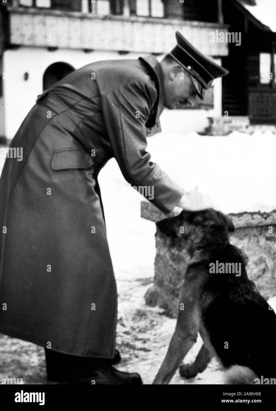 Eva Braun Collection (osam) - Adolf Hitler saluto un cane ca. fine del 1930 o all'inizio del 1940 Foto Stock