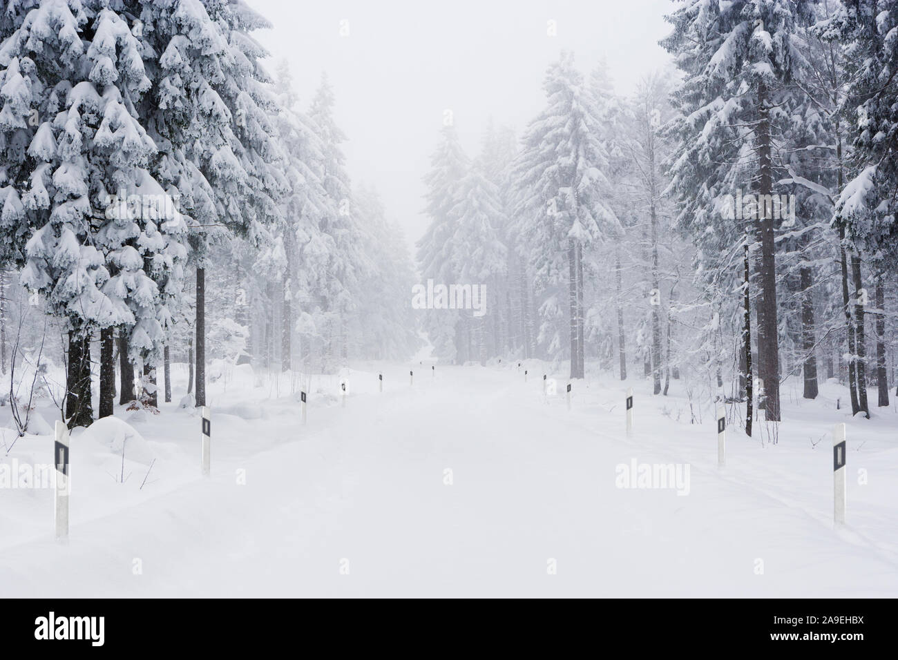 strada della neve Foto Stock