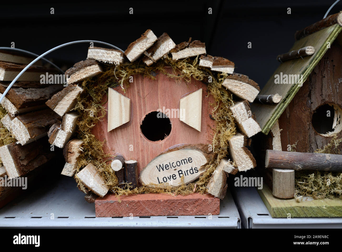 Insolito uccello scatola o cassetta di nidificazione per la vendita in negozio o negozio Foto Stock