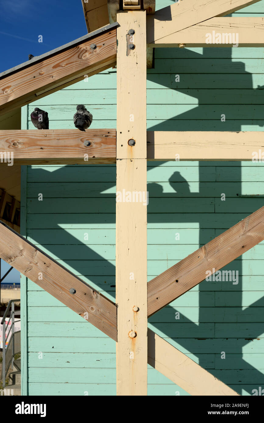 Telaio in legno o Timber-Frame della struttura in legno o Beach Hut in Parc Balnéaire du Prado, o Prado Park, telaio di Marsiglia Foto Stock