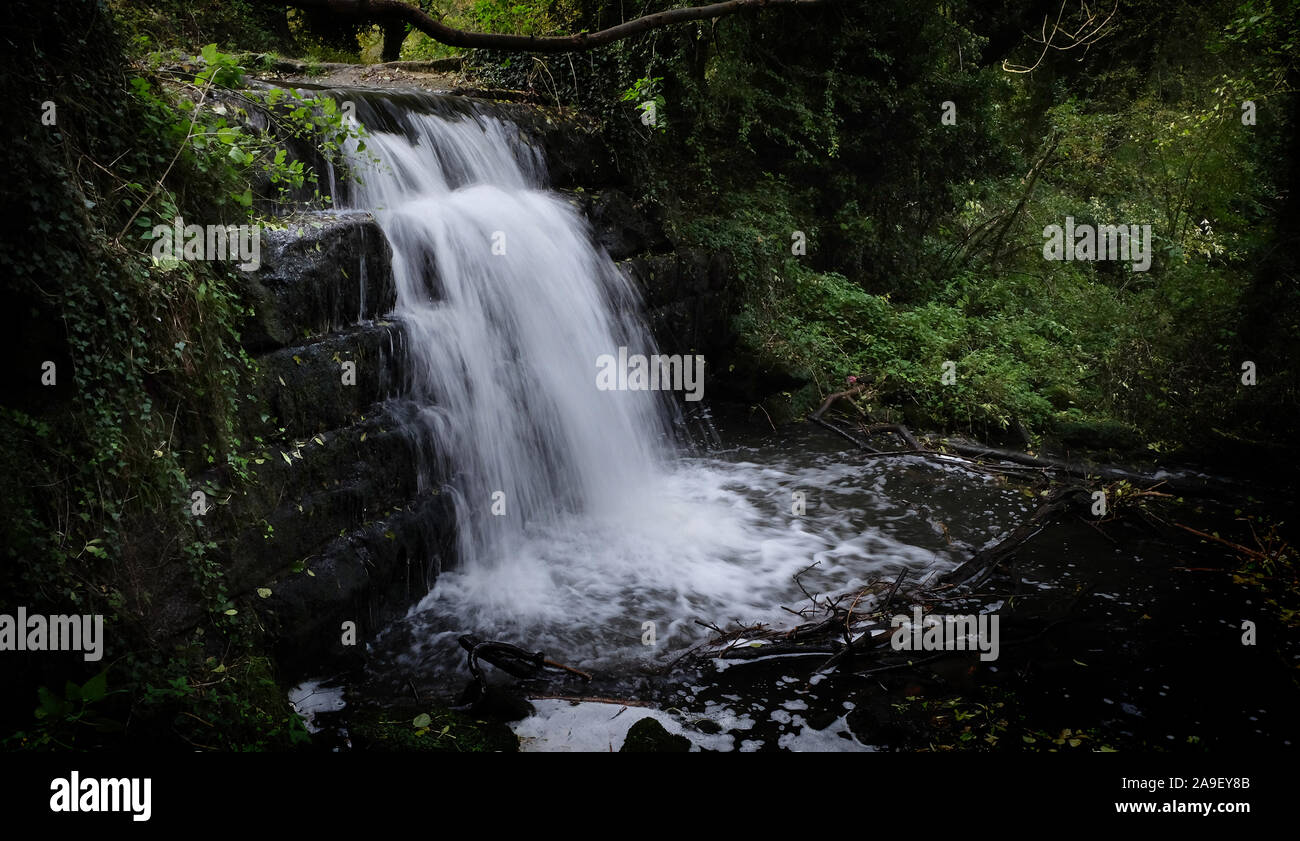 La cascata nel bosco Foto Stock