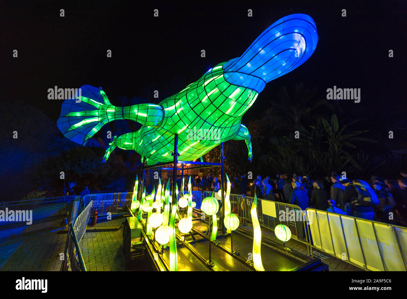 Sydney, Australia - 11 Giugno 2016: Vivid Sydney al Taronga Zoo. Sculture di luce degli animali al famoso Sydney attrazione turistica Taronga Zoo durante ann Foto Stock