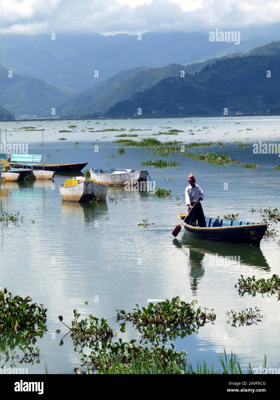 Barcaiolo sul lago Phewa, Pokhara, Nepal con le montagne sullo sfondo Foto Stock