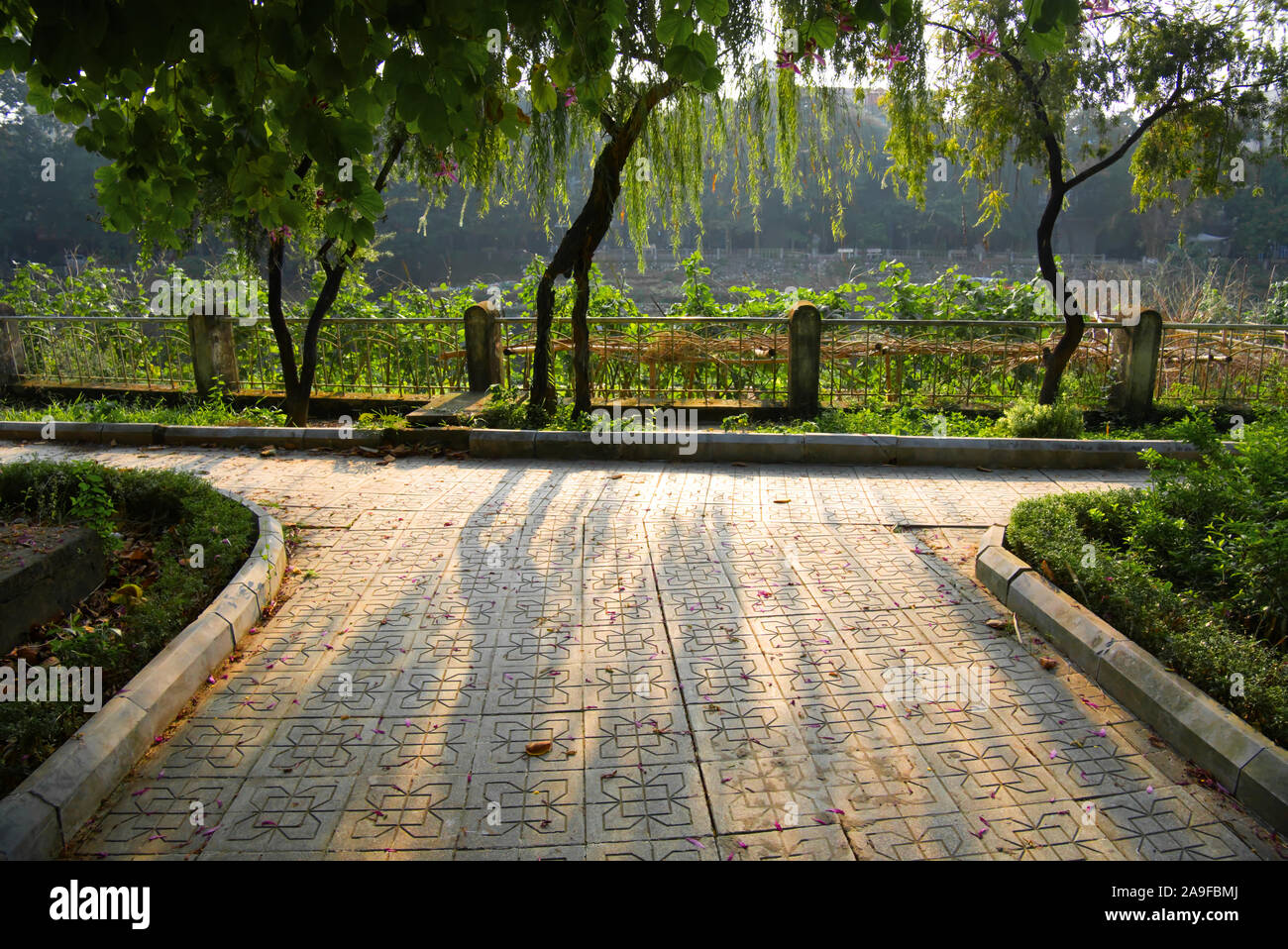 Sunsine presso i giardini Foto Stock