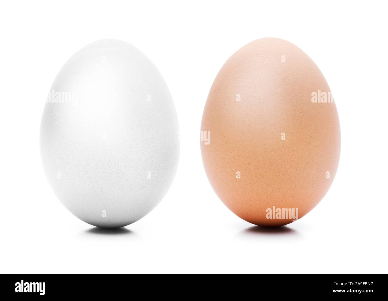 Bianco e Marrone di uovo Foto Stock