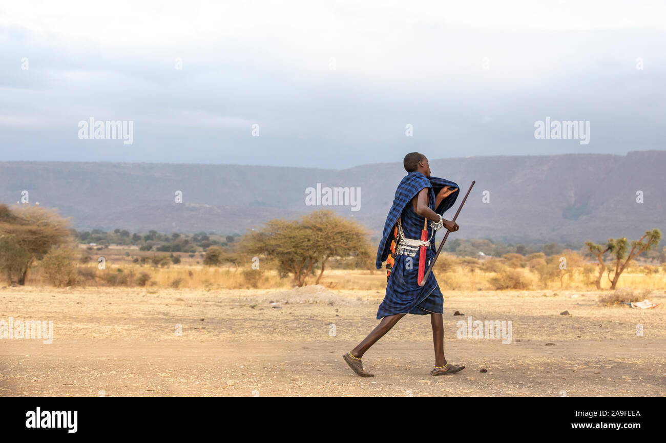 Arusha, Tanzania, 7 Settembre 2019: Guerrieri Maasai in un paesaggio di savana in Tanzania Foto Stock