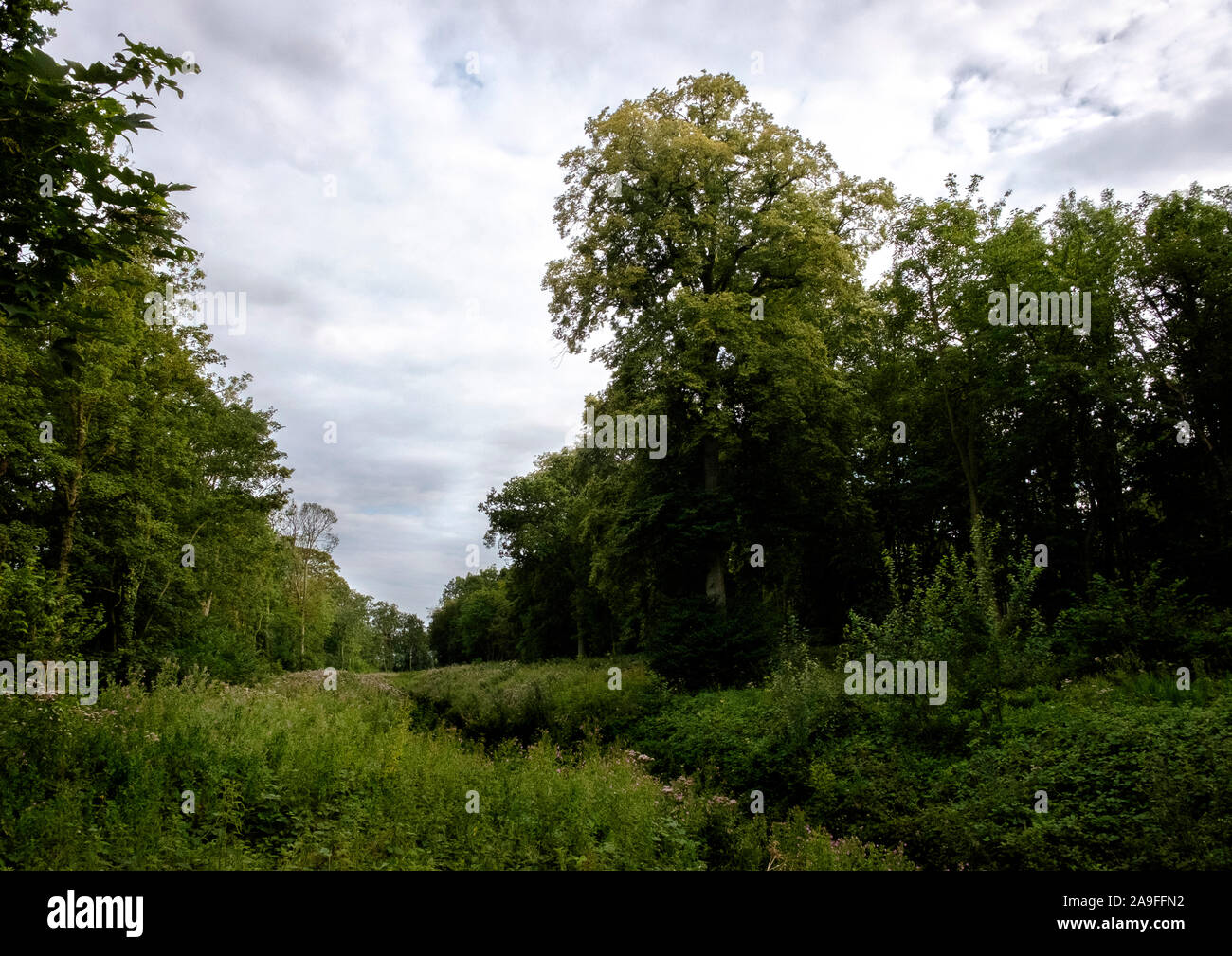 Da una passeggiata sul bordo del Lincolnshire fens - Car Dyke segna il bordo Foto Stock